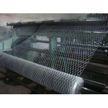 Produtos para Escritórios Hexaognal Wire Mesh Mesh